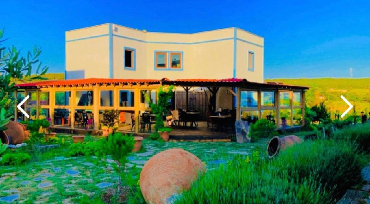 Sukha Inn Hotel & Beach 보즈자아다 외부 사진
